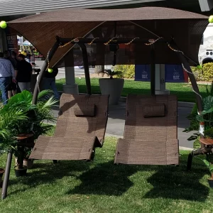 Swings n Solar 422 L Dual Lounge Swing 5