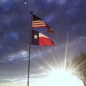 20' Presidential Telescoping Flagpole - Black 2