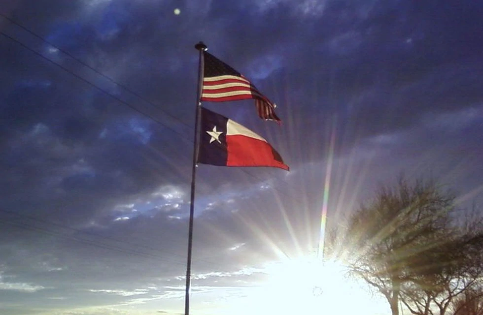 20' Presidential Telescoping Flagpole - Black 2
