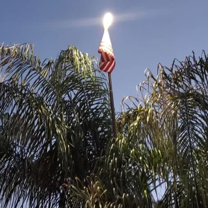 Patriot Solar Light